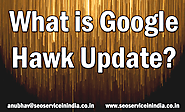 What is Google Hawk Update?