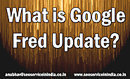 What is Google Fred Update?