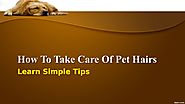 How To Take Care Of Pet Hairs by Kate Brownell - Issuu