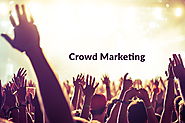 Crowd Marketing and Its Role for SEO Online Store