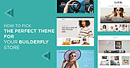 How to Pick the Perfect Theme for your Builderfly Store