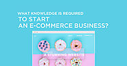 What Knowledge is Required to Start an E-Commerce Business?