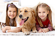 Educate Your Child About Other People’s Pets