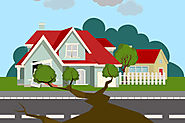 What To Do If A Tree Falls On Your House