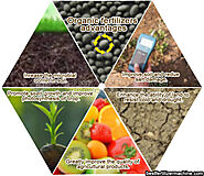 High efficiency and high quality controlled release fertilizer has a broad market space