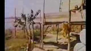250 Year Old Devraha Baba of Vrindavan (Very Rare Footage) - YouTube