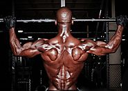 Best Bodyweight Back Exercises and Workouts to Build Huge Lats