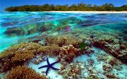 Coral Reef, Australia