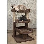 Best Cat Trees For Large Cats A Listly List