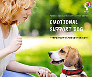 Emotional Support Dog benefits and process of a registration | ESA letter - PDSC