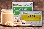 Nuflower-The leading Lipid pastes manufacturer
