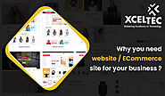 Why do you need a website / E-Commerce site for your business ?