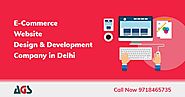 E-Commerce Website Design and Development Company in Delhi
