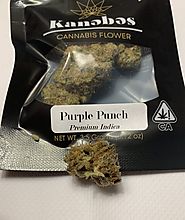Purple Punch Marijuana Strain | Indica Weed Strain | PotValet