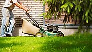 Types of Grounds Maintenance