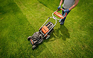 Landscaping Companies Vs Grounds Maintenance - Why Hire One Way?