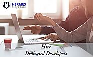 Hire Freelance Web Development Singapore