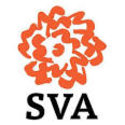 SVA Computer Art (USA)