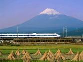 Ride the Shinkansen