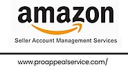 Amazon Account Management For Sellers