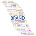 Social Media Marketing Optimization & Online Brand Development