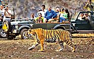 Jim Corbett Packages (3N / 4D) Two Person just @ 21,799/- Only