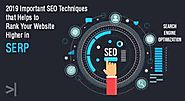 What exactly does SEO companies in Pune do. - Edigibrands Blog