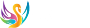 Website development company in India | Skenix Infotech
