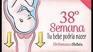 Semana 38 de embarazo | 9º Mes | Semana a semana