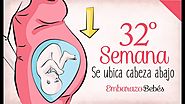 Semana 32 de embarazo | 8º Mes | Semana a semana