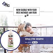 Introducing the Derma Dyne Shampoo – the one and only supreme quality medicated shampoo for your lovely dogs!
