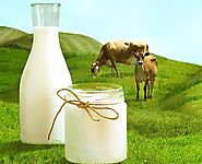 Buy A2 Milk in Pune at Reasonable Rate