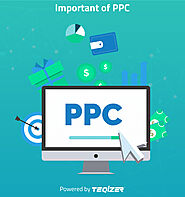 What are the different ppc trends of 2020