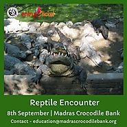 Reptile Encounter | Online Entry by Entryeticket