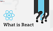 What is ReactJS How it work & Why to choose ReactJS? -
