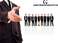 Private Detective Agency in Jaipur - Gribety Detective