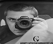Detective Agency in Jaipur - Gribety India