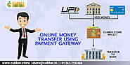 Use Payment Gateway for Money Transfer at Cubber Store