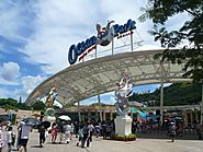 Ocean Park Tour with Transfers