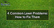 4 Common Lawn Problems: How to Fix Them - Royal Landscapes