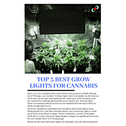 Top 3 Best Grow Lights for Cannabis