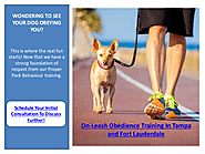In Home Service Dog and Therapy Dog training In Fort Lauderdale | edocr
