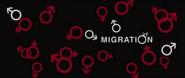 Migration (2008)