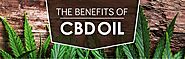 Elemental CBD | The Most Effective Pain Killer Made with CBD