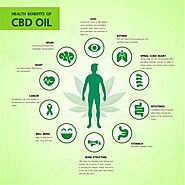 Endocannabinoid System 101 | CBD for athlete | Elemental CBD