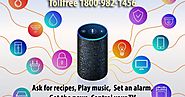 Manual Guide step by step for Amazon Alexa App for Echo Dot