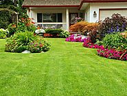 Busting Common Myths About Landscaping Companies