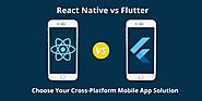 React Native vs Flutter: Choose Your Cross-Platform Mobile App Solution - beBee Producer