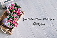 Get Free Online Flower Delivery in Gurgaon by Floraindia » Dailygram ... The Business Network