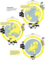 Kringlooplandbouw: wat is het precies en wat zijn de gevolgen ervan voor de boeren? | Trouw